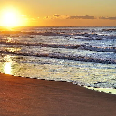 228 * Terracina